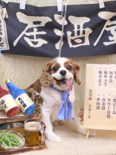 20240629ゲンキくん